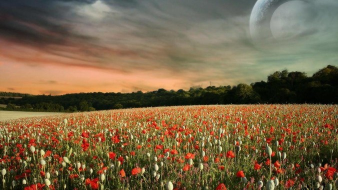 你见过最无用的节俭行为是什么？